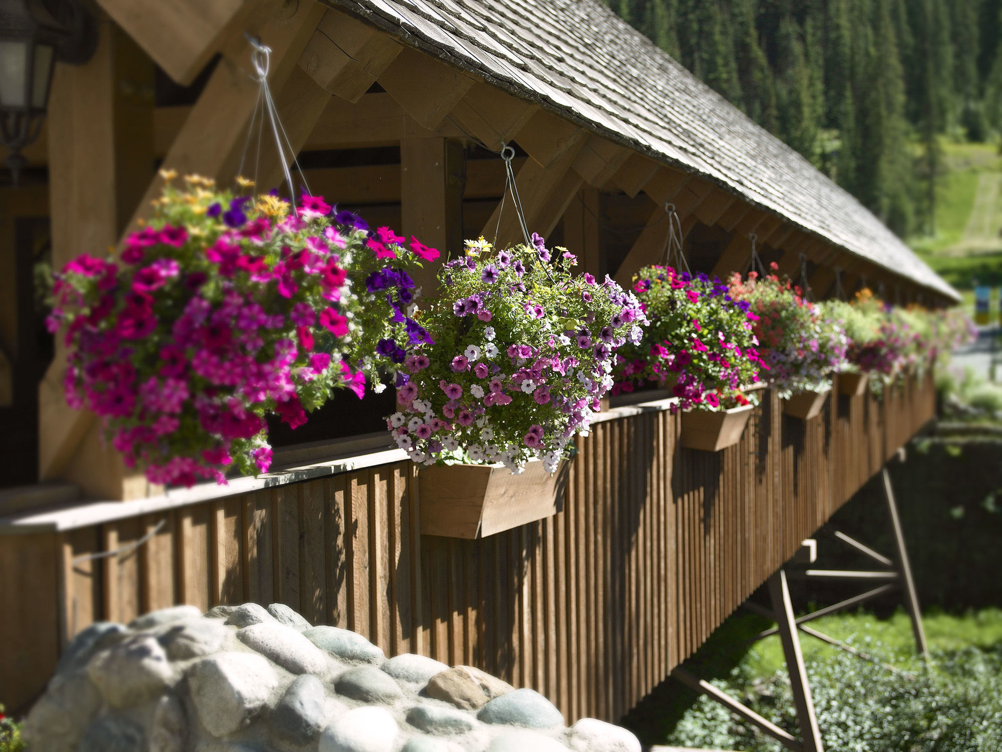Sundance Lodge Sun Peaks Exteriör bild